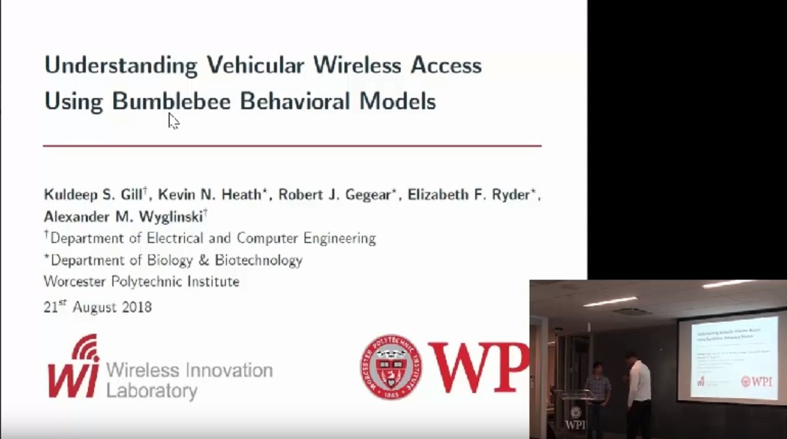 Understanding Vehicular Wireless Access Using Bumblebee Behavioral Models
