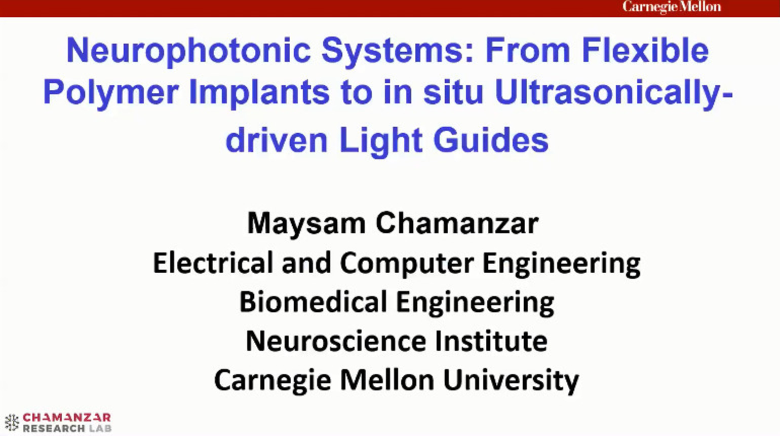 IEEE Brain: Neurophotonic Systems: From Flexible Polymer Implants to in situ Ultrasonically-driven Light Guides
