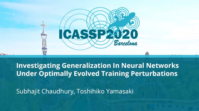 Investigating Generalization In Neural Networks Under Optimally Evolved Training Perturbations