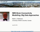 fMRI Brain Connectivity Modelling: Big Data Approaches