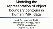 IEEE Brain: Modeling the Representation of Object Boundary Contours in Human fMRI Data