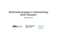 IEEE Brain: Multimodal Imaging in Understanding Brain Diseases