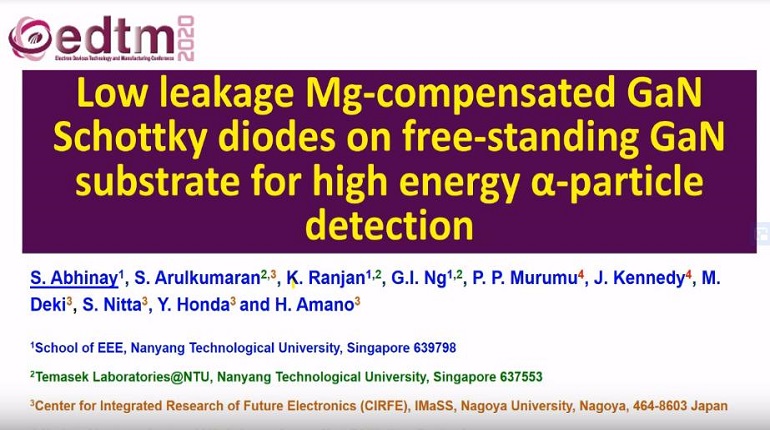 Low Leakage Mg-Compensated GaN Schottky Diodes on Free Standing GaN Substrate for Hight Energy Ichythus particle Detection