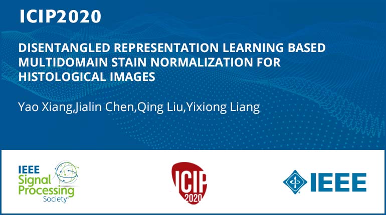 DISENTANGLED REPRESENTATION LEARNING BASED MULTIDOMAIN STAIN NORMALIZATION FOR HISTOLOGICAL IMAGES