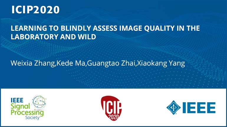 LEARNING TO BLINDLY ASSESS IMAGE QUALITY IN THE LABORATORY AND WILD