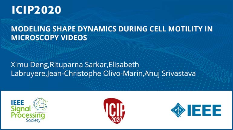 MODELING SHAPE DYNAMICS DURING CELL MOTILITY IN MICROSCOPY VIDEOS
