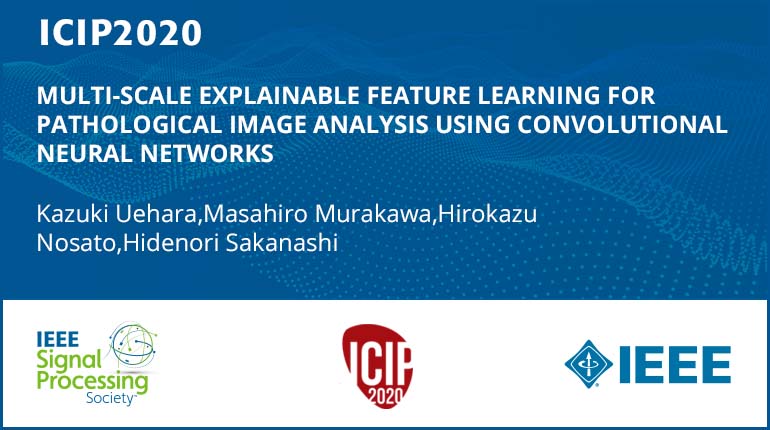 MULTI-SCALE EXPLAINABLE FEATURE LEARNING FOR PATHOLOGICAL IMAGE ANALYSIS USING CONVOLUTIONAL NEURAL NETWORKS