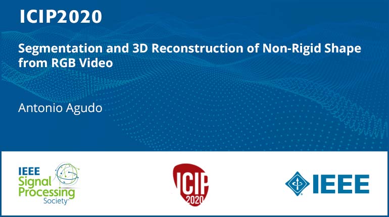 Segmentation and 3D Reconstruction of Non-Rigid Shape from RGB Video