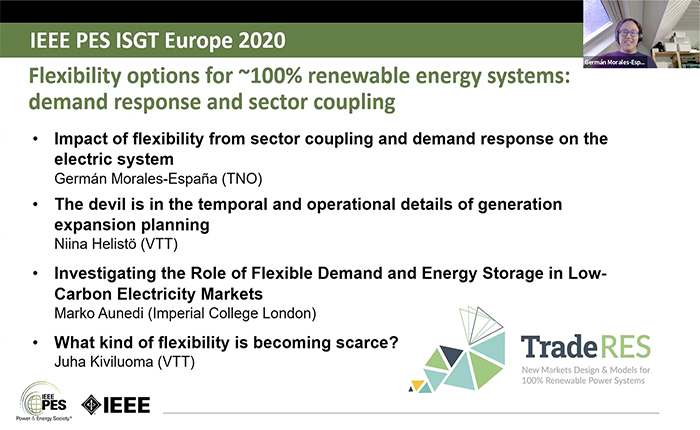 2020 PES ISGT Europe 10/28 Panel Video: Flexibility Options for 100% Renewable Energy Systems: Demand Response and Sector Coupling