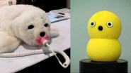 The Invasion of Cute, Therapeutic Robots 
