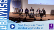 Brooklyn 5G 2016: Panel on Progress in Channel Models and Spectrum for 5G