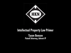 Intellectual Property Law Primer - Tyson Benson (2014-HKN-SLC)
