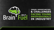 Brain Fuel: Issues, Opportunities, and Challenges Facing Young Technology Professionals in Industry - 2017