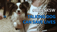 Talking Dog Can Save Lives: IEEE @ SXSW 2017