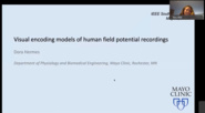 Visual Encoding Models of Human Field Potential Recordings