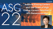 Artificial Pinning Centers and The Quest of High Critical Current Densities in HTS Nanocomposites