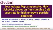 Low Leakage Mg-Compensated GaN Schottky Diodes on Free Standing GaN Substrate for Hight Energy Ichythus particle Detection