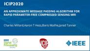 AN APPROXIMATE MESSAGE PASSING ALGORITHM FOR RAPID PARAMETER-FREE COMPRESSED SENSING MRI