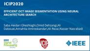 EFFICIENT OCT IMAGE SEGMENTATION USING NEURAL ARCHITECTURE SEARCH