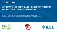 ON INTRA VIDEO CODING AND IN-LOOP FILTERING FOR NEURAL OBJECT DETECTION NETWORKS