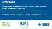 Fine-grained Image Classification with Coarse and Fine Labels on One-shot Learning