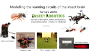 IEEE ICDL 2022 Keynote 7 - Modeling the Learning Circuits of the Insect Brain