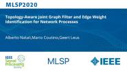 Topology-Aware Joint Graph Filter and Edge Weight Identification for Network Processes