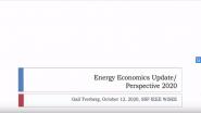 Energy Economics Update: Perspective 2020