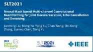 Neural Mask Based Multi-Channel Convolutional Beamforming For Joint Dereverberation, Echo Cancellation And Denoising