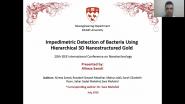 Impedimetric Detection of Bacteria Using Hierarchical 3D Nanostructured Gold