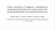 Green Synthesis of Magnetic Nanoparticles Using Aspergillus Flavus As Novel Support for Recycling Pectolytic and Xylanolytic Enzymes