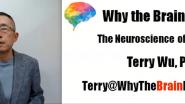 Why The Brain Follows â€“ The Neuroscience of Leadership -WIE ILC 2021